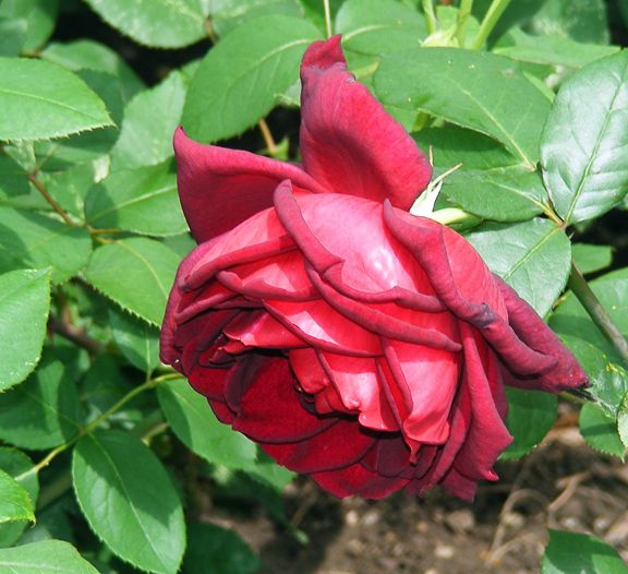 Oklahoma photo ok2013_06110028_zpsb2947575.jpg